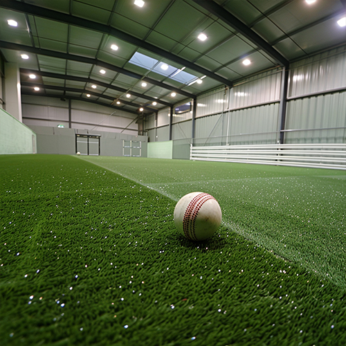 Cricket Court